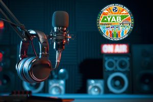 Cover image for Youth Action Board